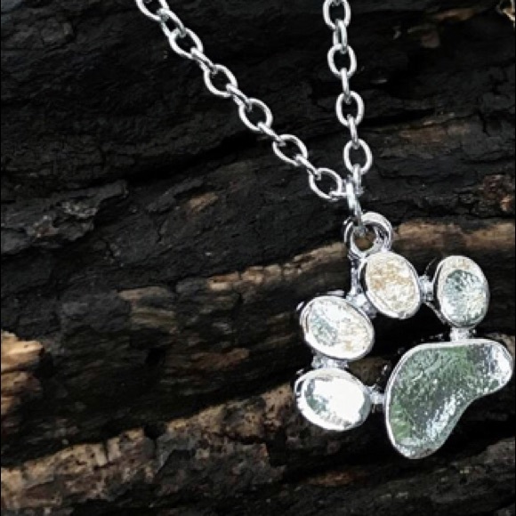 Silver Plated Paw Print Necklace 🐾 - Picture 3 of 4